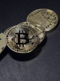 techlusive.in Authors