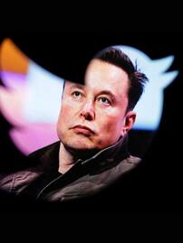 techlusive.in Authors