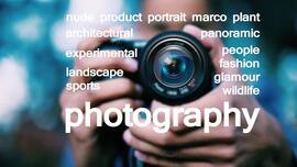 techlusive.in Authors