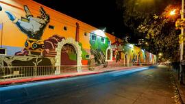 techlusive.in Authors