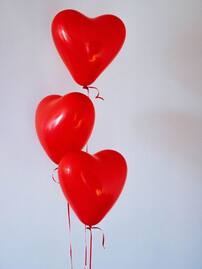 techlusive.in Authors