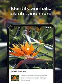 techlusive.in Authors