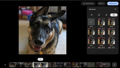 Google Photos app on Chromebook makes editing easy and fun