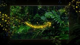 techlusive.in Authors