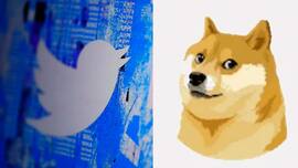 techlusive.in Authors