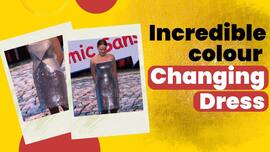 techlusive.in Authors