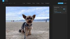 Windows Photos app gets 'Generative erase' AI tool