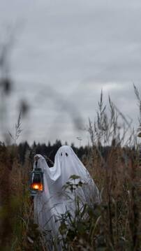 techlusive.in Authors