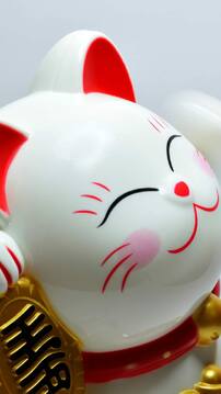 techlusive.in Authors