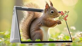 techlusive.in Authors