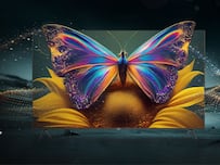 techlusive.in Authors