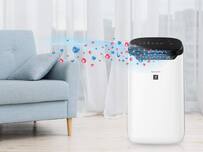 techlusive.in Authors