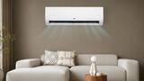 8 top 5-star ACs under Rs 50,000 that balance cooling, features and efficiency