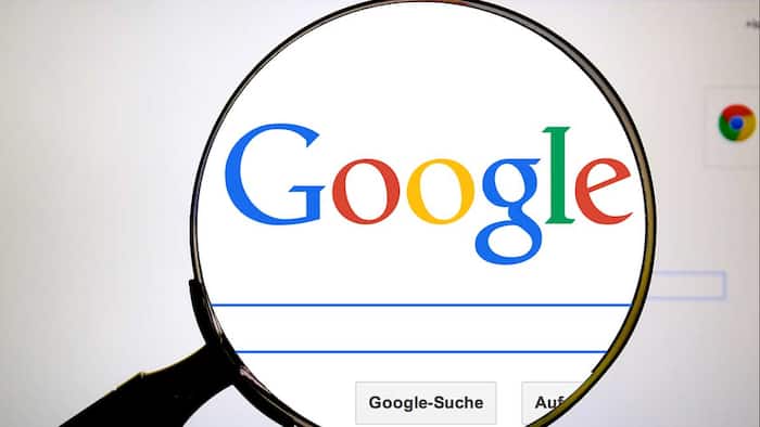 Google images search