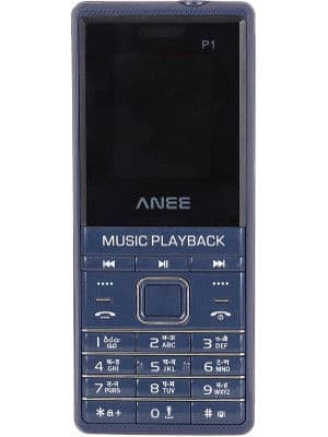 ANEE P1