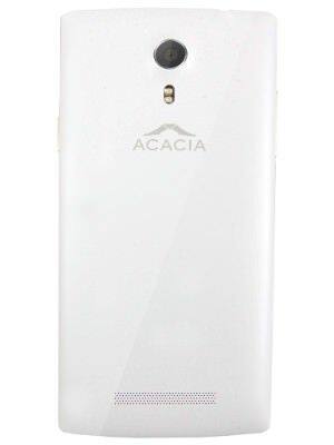 Acacia Verdant A25