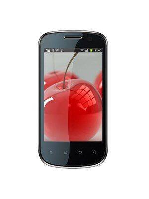 Celkon A19