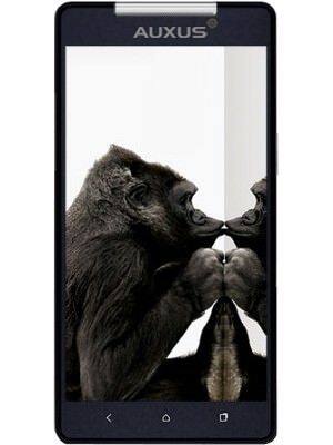 IBerry Auxus Nuclea N1