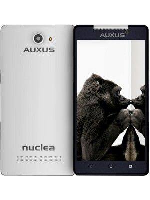 IBerry Auxus Nuclea N1