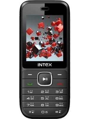 Intex