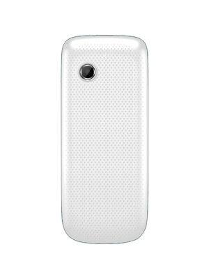 Intex