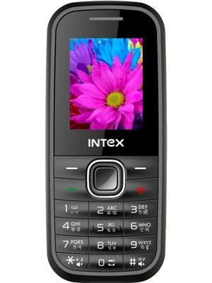 Intex