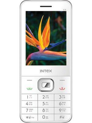 Intex