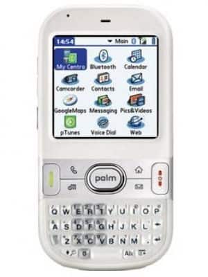 Palm