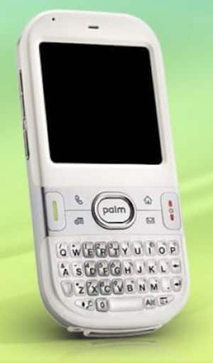 Palm