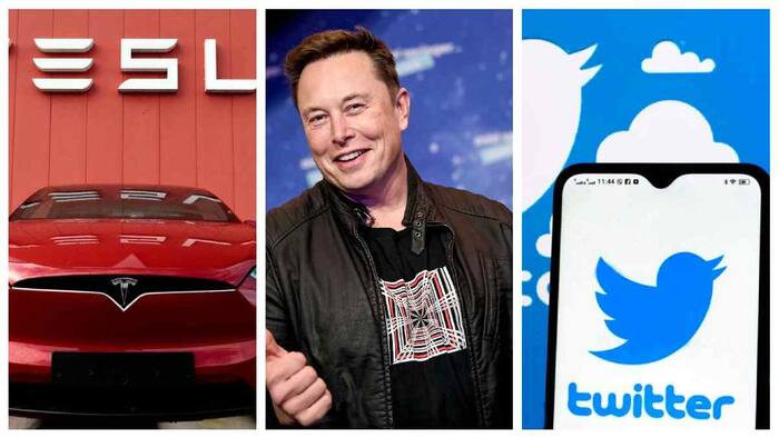 Tesla Shares Elon Musk Twitter