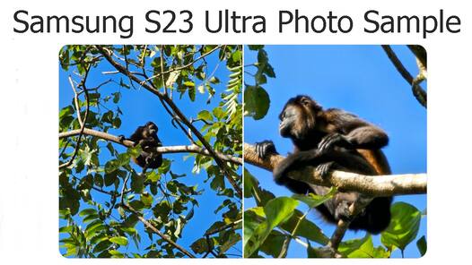 Samsung S23 Ultra में मिलेगा धांसू जूम, सैंपल फोटो से हुआ खुलासा