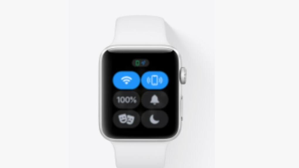 Apple Watch Series 3 (3)