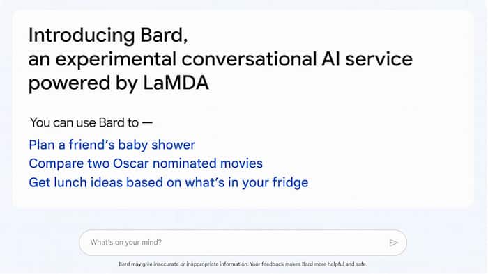 Google Bard