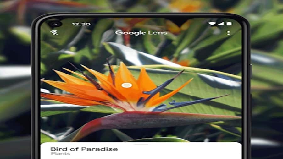 Google Lens का नया फीचर, अब बोलकर पूछें अपने सवाल Google Lens main