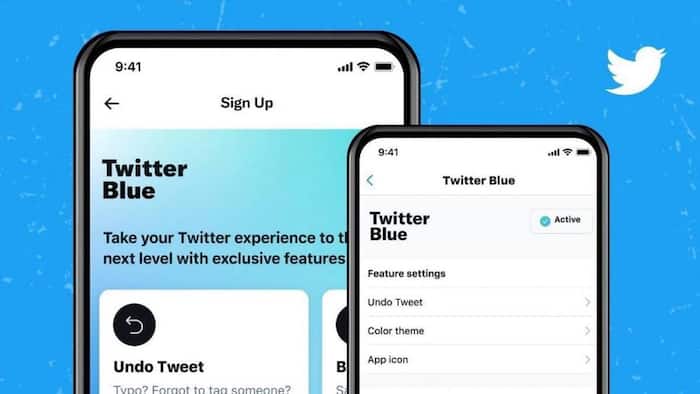 Twitter Blue