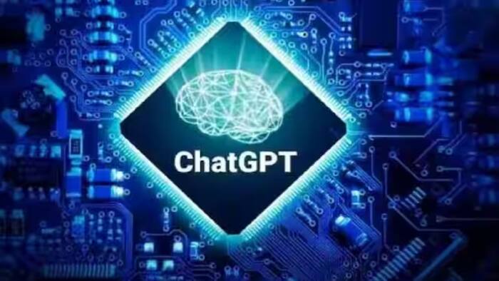 chat