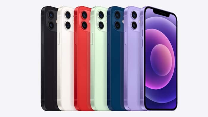 iPhone 12 (1)