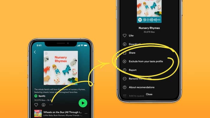 spotifyfeature