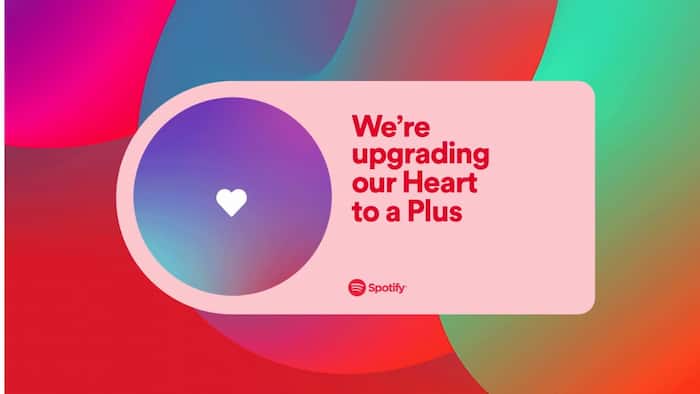 spotifyplus
