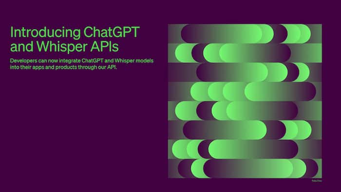ChatGPT API