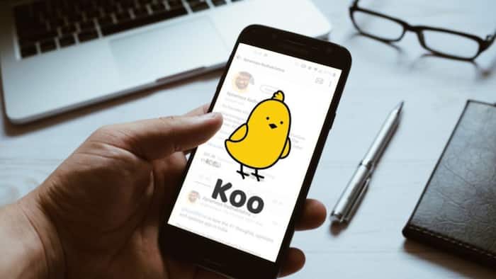 Koo