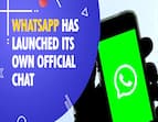 WhatsApp has launched its own official account on WhatsApp