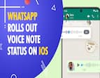 WhatsApp rolling out voice status updates on iOS
