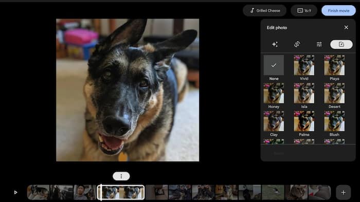 photoschrome