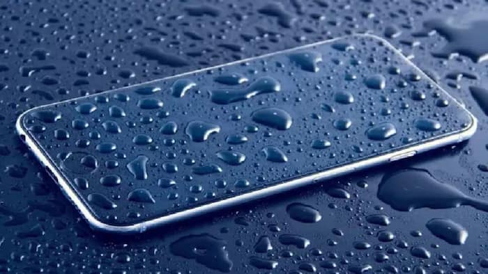 smartphone