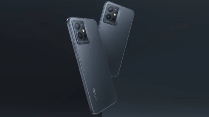 vivo (1)
