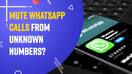 Users of WhatsApp may be able to Mute Calls Unknown Phone numbers
