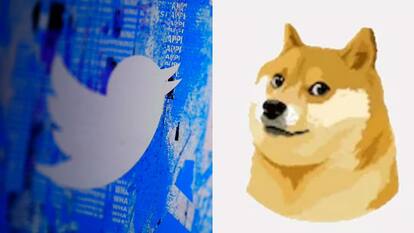 Elon Musk ने बदला Twitter का लोगो, नीली चिड़िया की जगह आ गया डॉगी