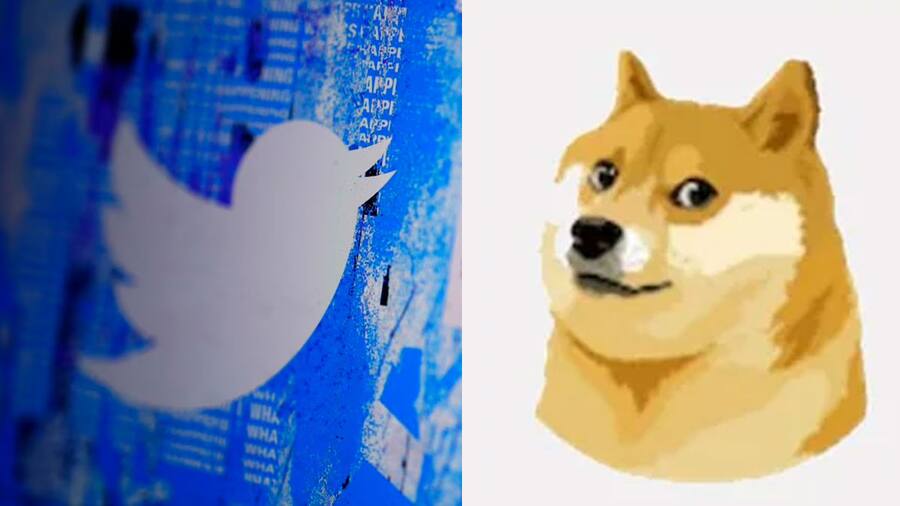 Elon Musk ने बदला Twitter का लोगो, नीली चिड़िया की जगह आ गया डॉगी Twitter-Doggy