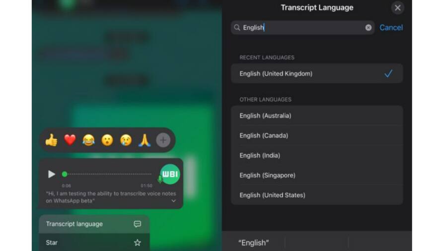 Voice Message Transcripts